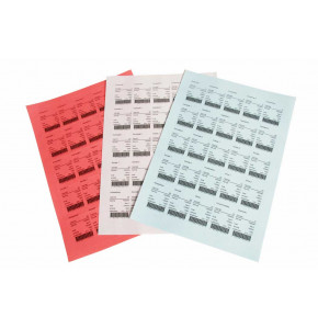 1 A4 sheet of 25 red EPL RG labels