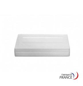 Polypropylene plastic box with hinged lid - V30-7