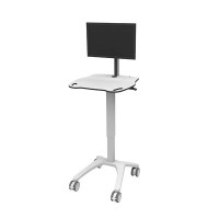 MDLS PC/monitor cart with fixed arm and secure housing
